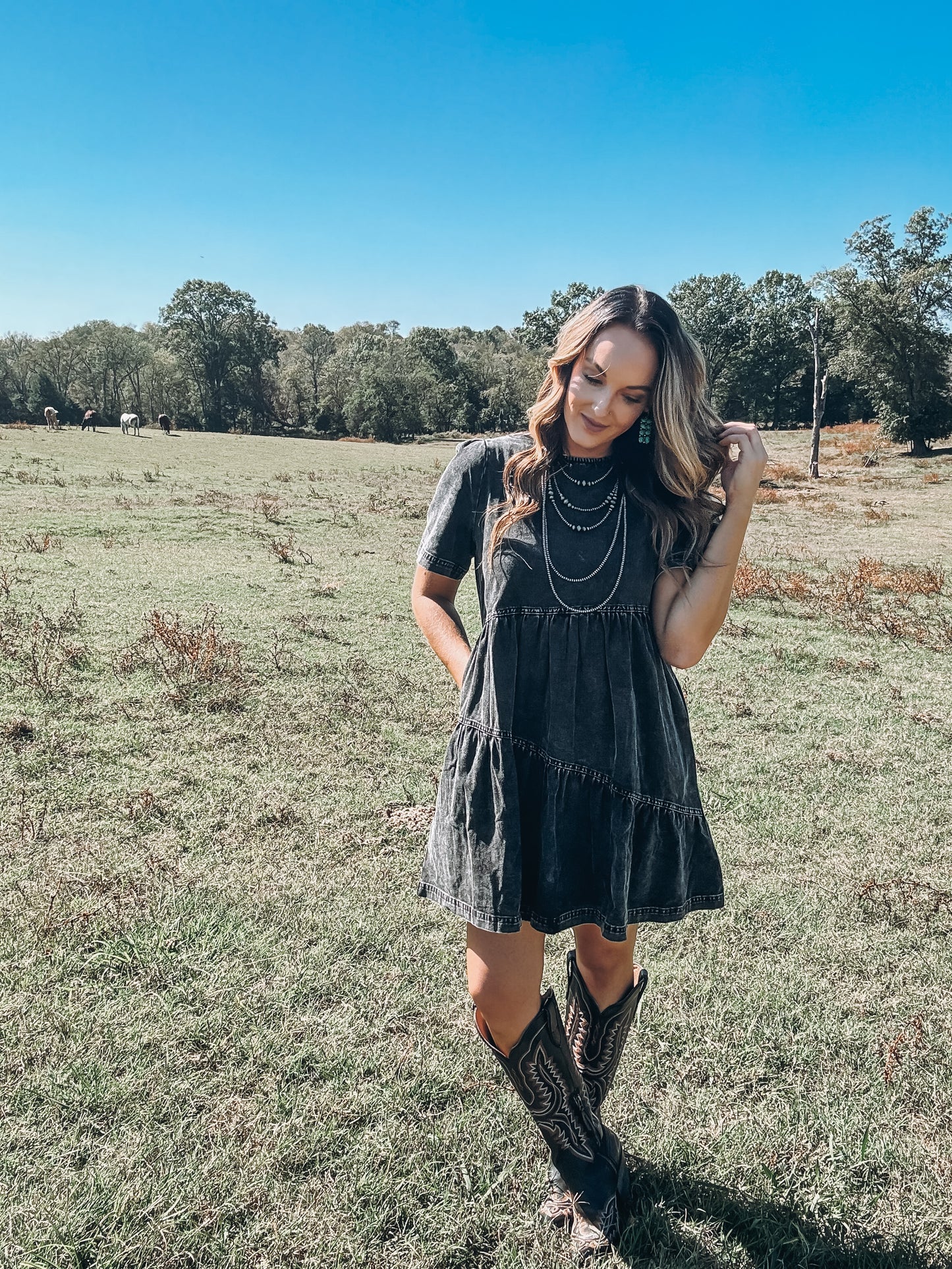 Denim Flutter Sleeve Dress