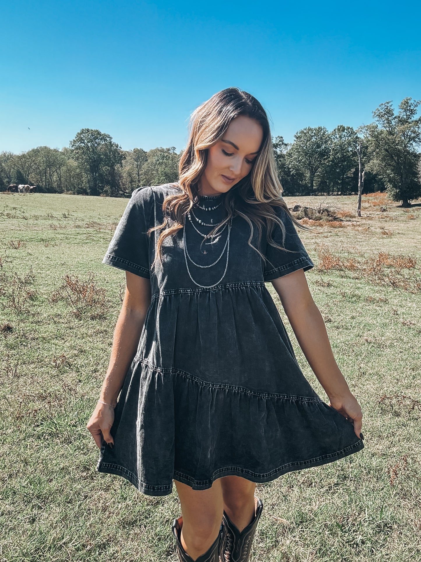 Denim Flutter Sleeve Dress