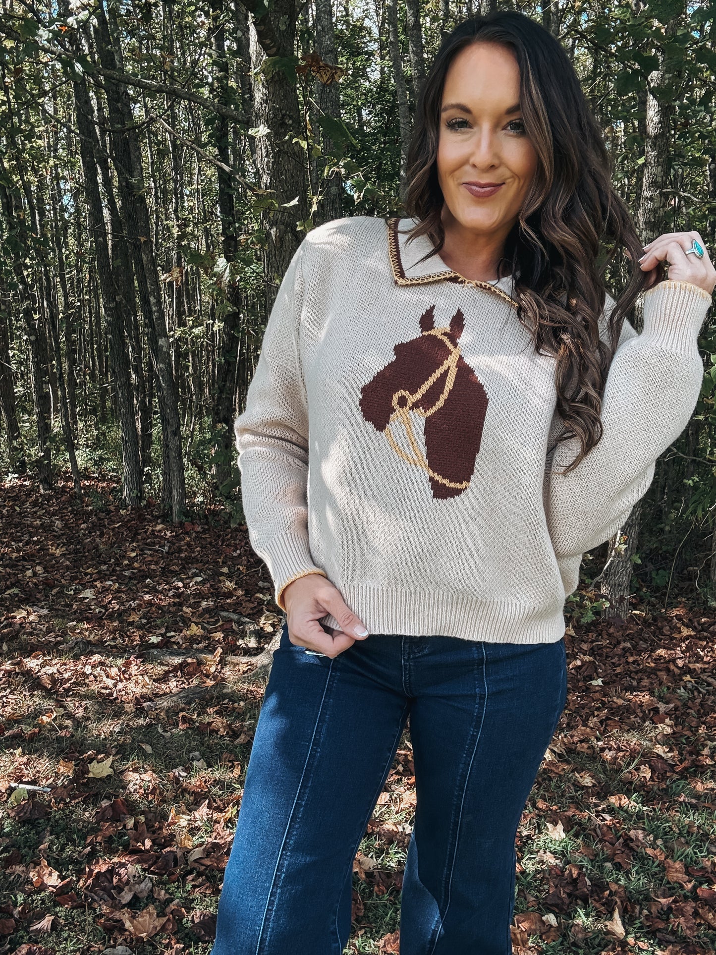 Cheyenne Horse Sweater