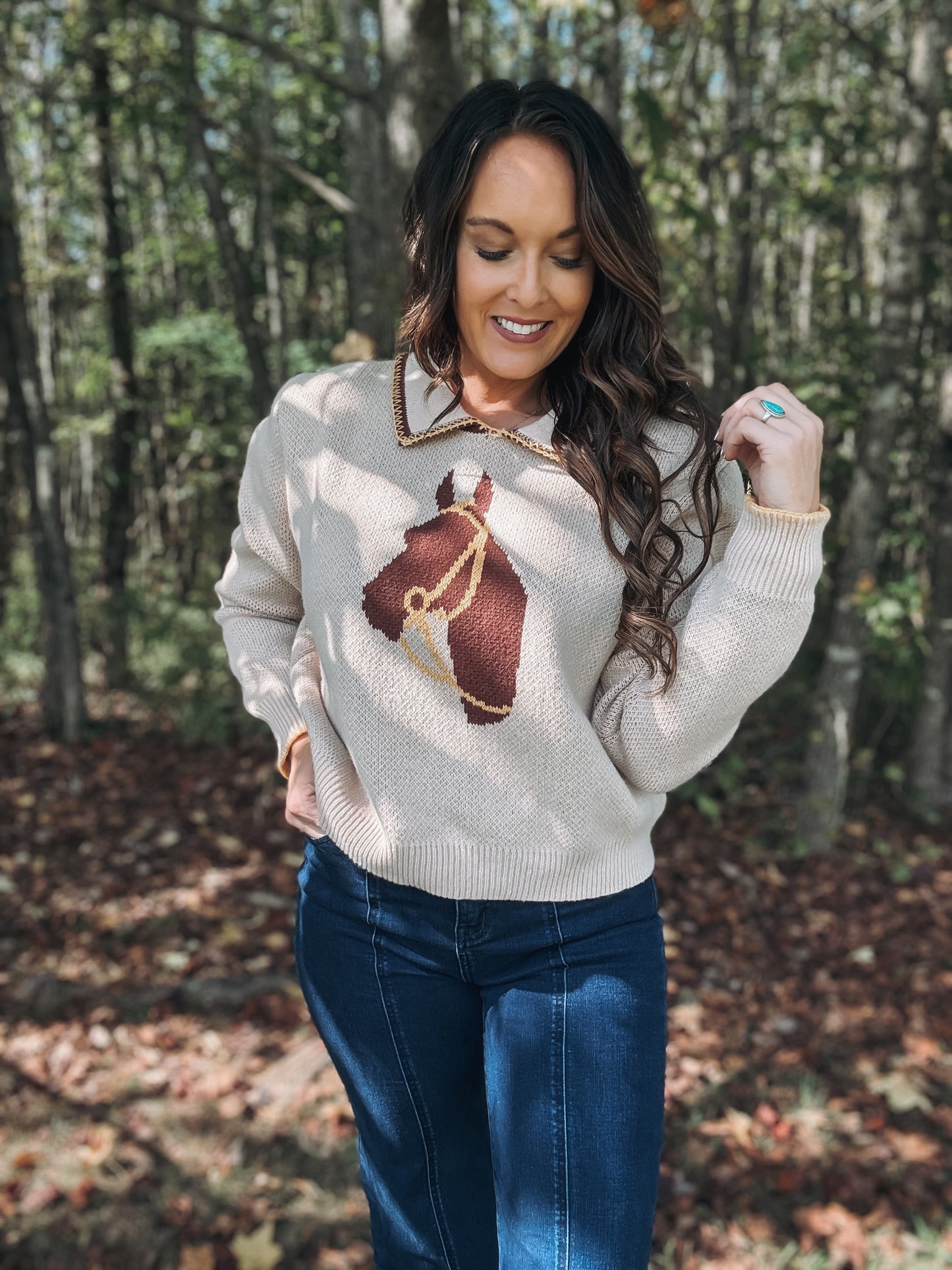 Cheyenne Horse Sweater