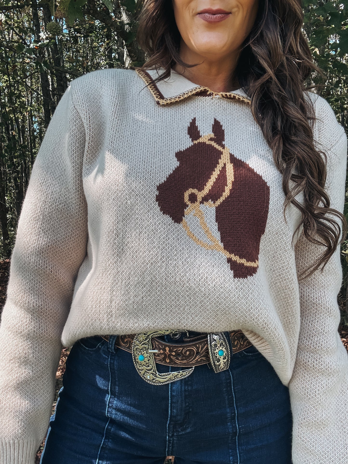Cheyenne Horse Sweater